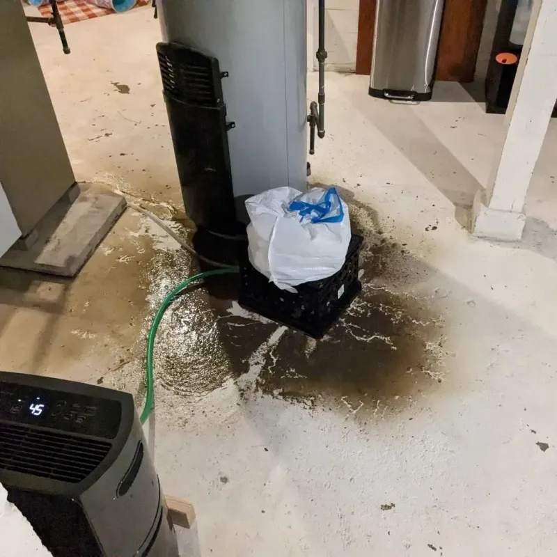 Sewage Backup Cleanup Service in Sour Lake, TX